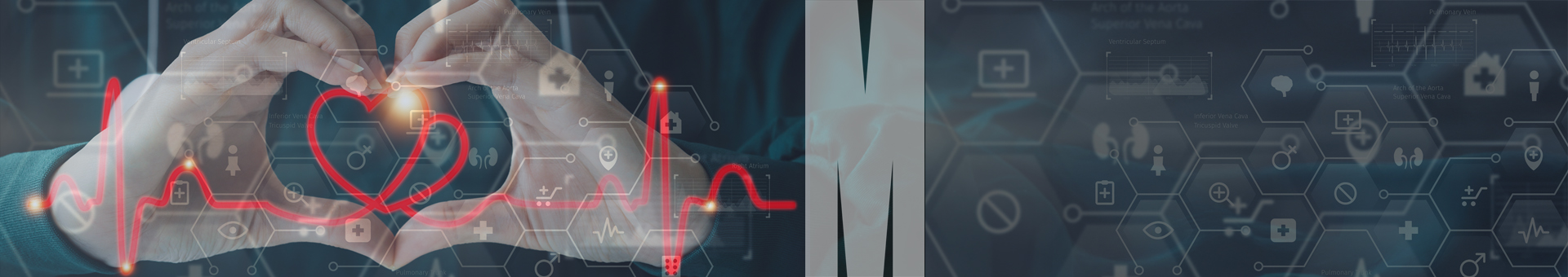 PeriopMed CardioVascular Short Course