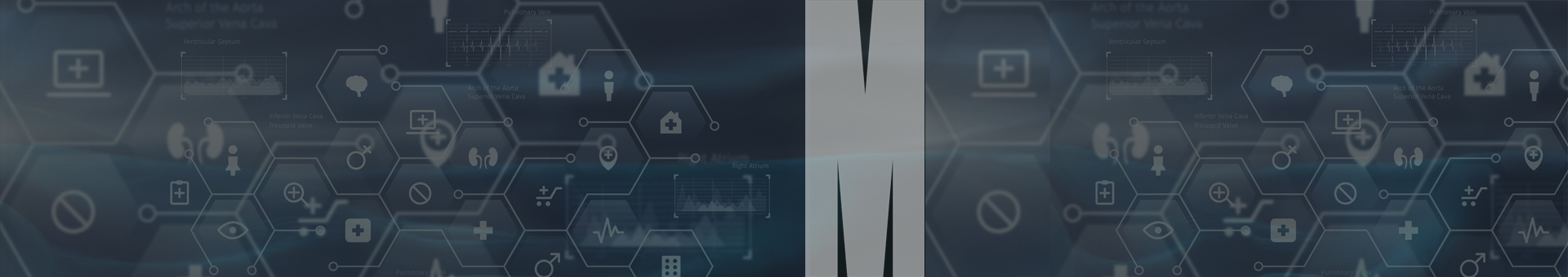 PeriopMed CardioVascular Short Course